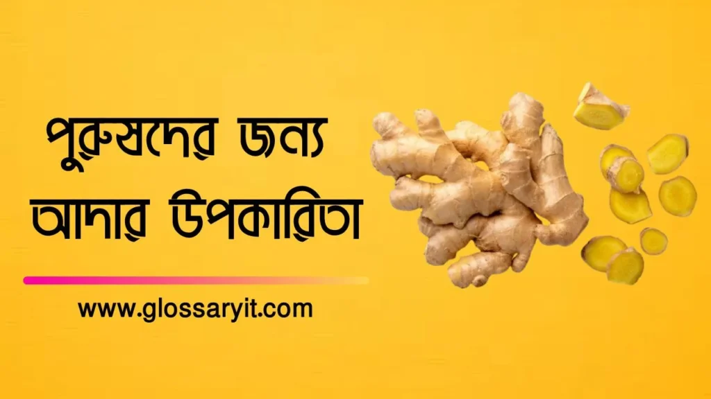 পুরুষদের জন্য আদার উপকারিতা